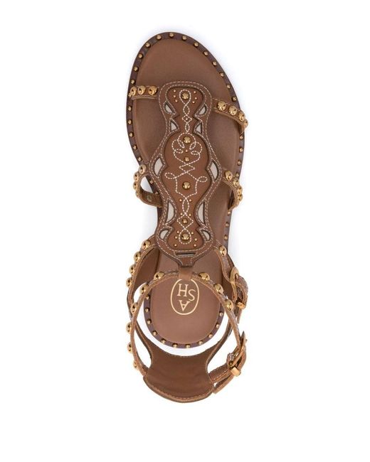 Ash Brown Plaza Studded Leather Sandals