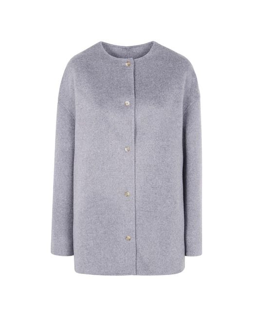 Loulou de Saison Blue Coats