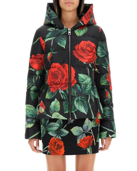 Dolce & Gabbana Red Rose Print Hooded Puffer Jacket in Black | Lyst