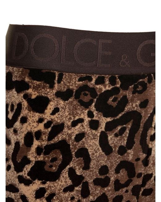 Dolce & Gabbana Black Animalier Velour Leggings