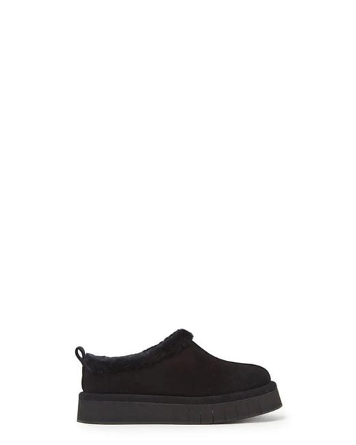 Paloma Barceló Black Booties