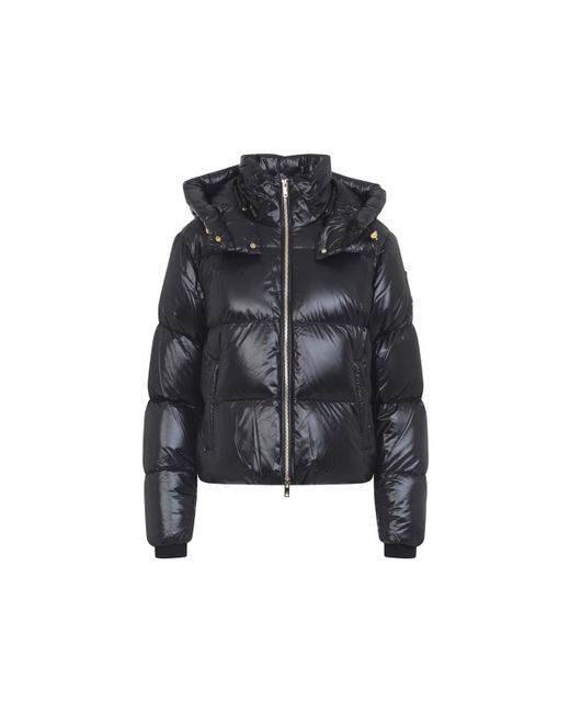 Moose Knuckles Black Wintercoat