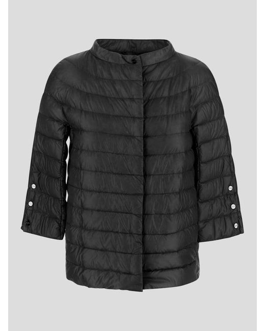 Herno Black Coats