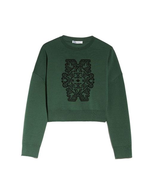 Max Mara Green Jerseys & Knitwear