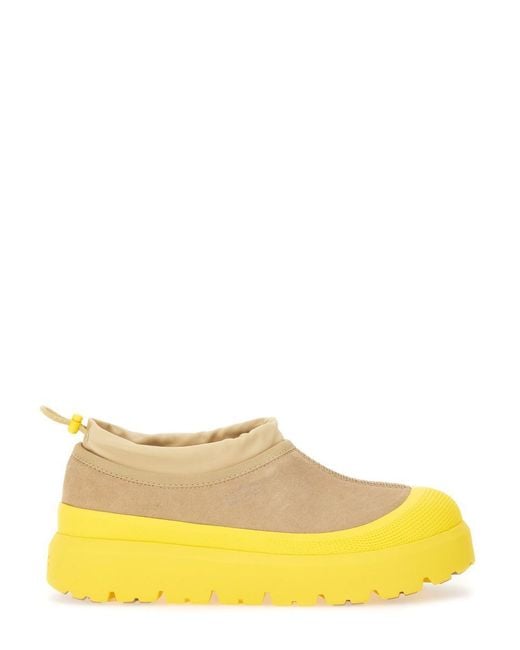 Ugg Yellow "Tasman Weather Hybrid" Sabot for men