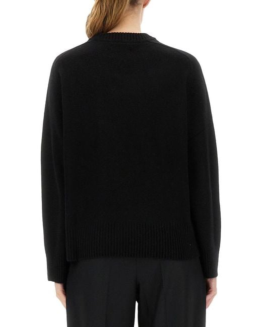 Loulou de Saison Black Jersey "Baltra"