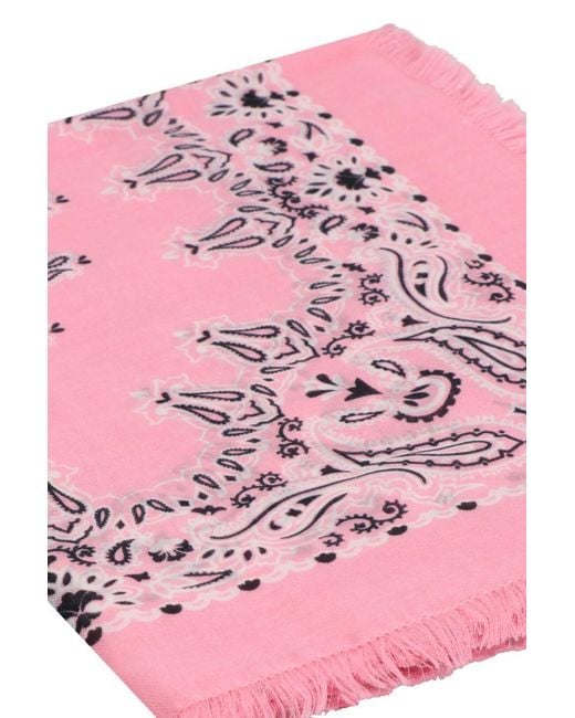 Saint Laurent Pink Printed Scarf