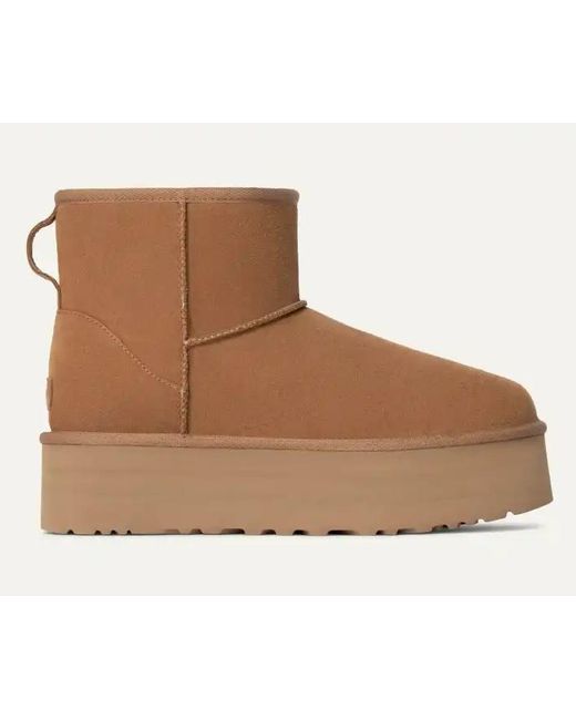 brown sugar uggs  uggs boots main image 0