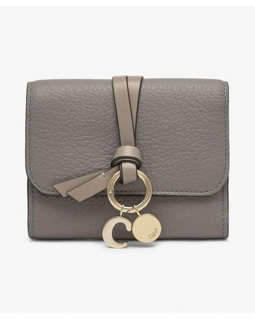 Chloé Gray Wallet With Charm