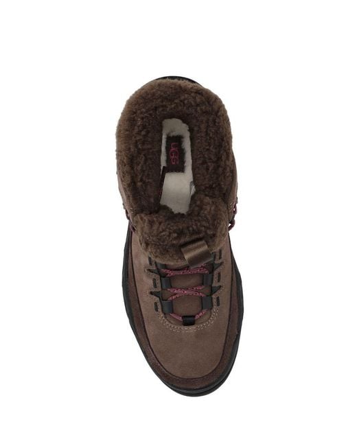 Ugg Brown W Terretrail Cozy Lace