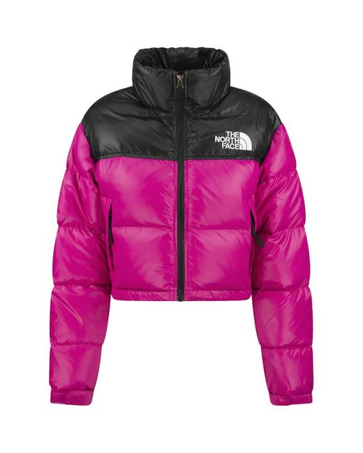 The North Face Synthetic Nuptse - Cropped Down Jacket in Pink - Save 2% |  Lyst