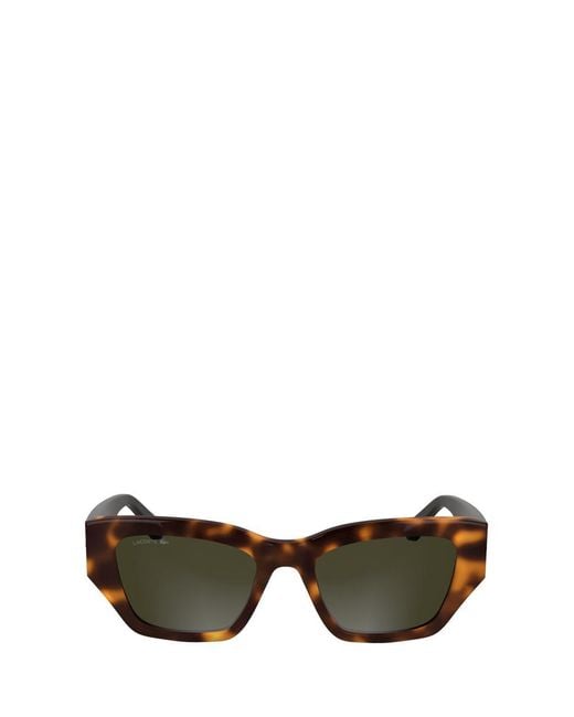 Lacoste Brown Sunglasses