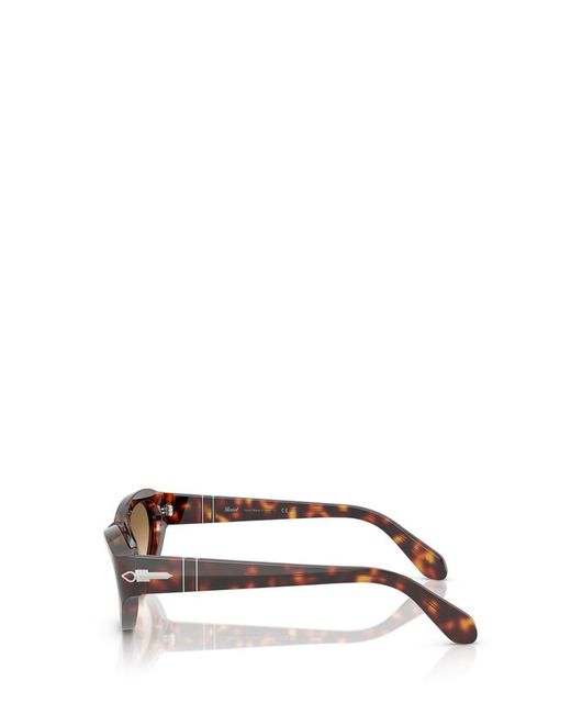 Persol Brown Sunglasses