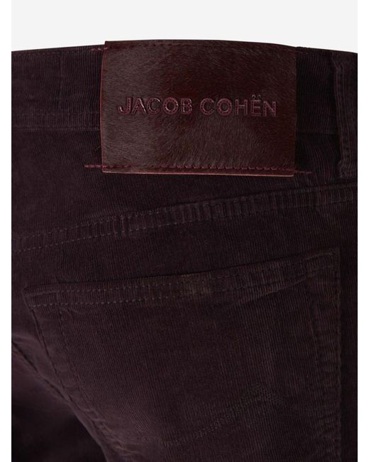 Jacob Cohen Blue Bard Five Pocket Trousers for men