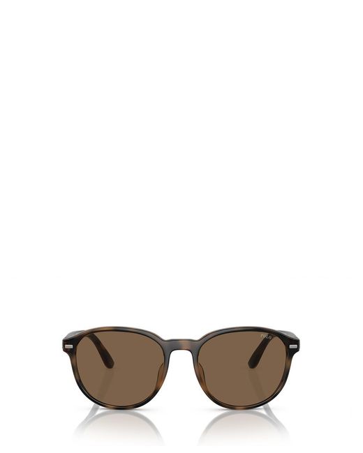 Polo Ralph Lauren Multicolor Sunglasses for men