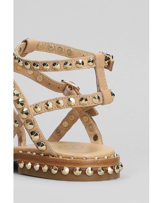 Ash Multicolor Precious Flats
