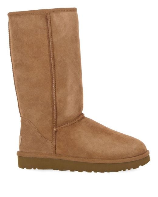 Ugg Brown Boots
