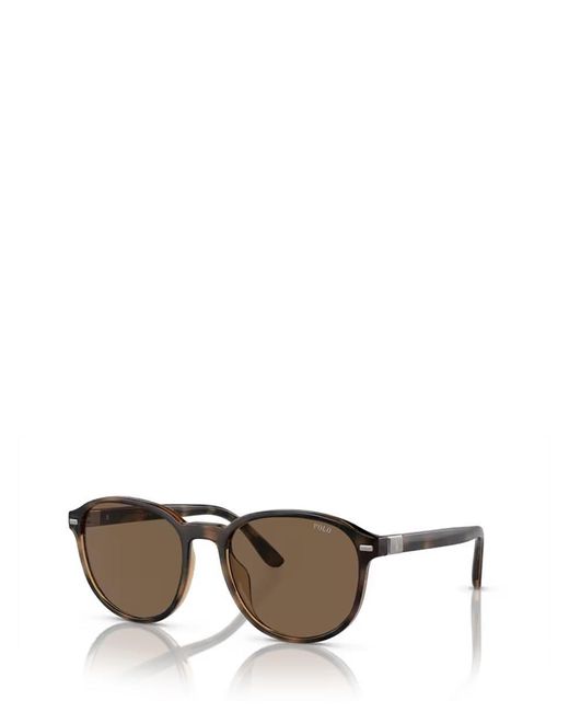 Polo Ralph Lauren Multicolor Sunglasses for men