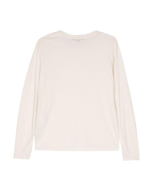 Seventy White Sweaters