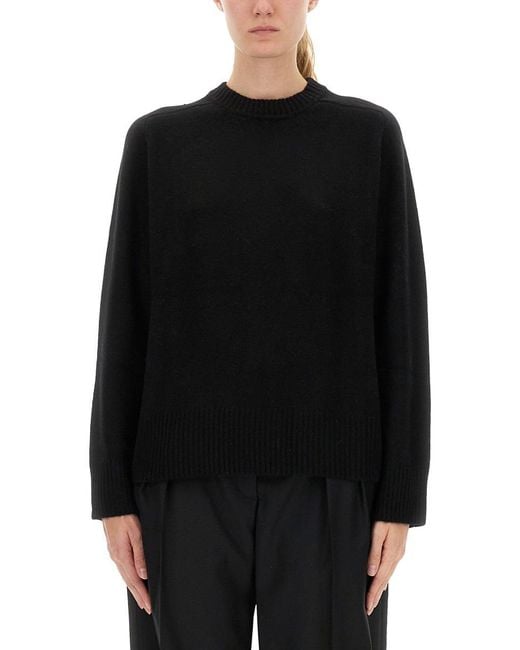 Loulou de Saison Black Jersey "Baltra"
