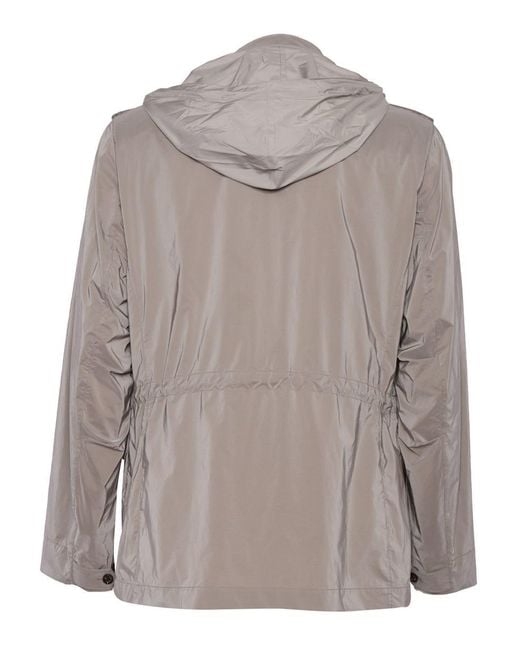 Montecore Gray Jacket for men