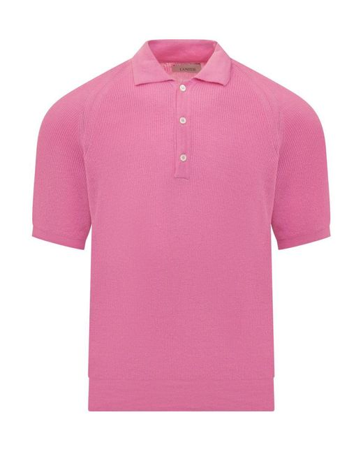 Laneus Pink English Polo Shirt for men