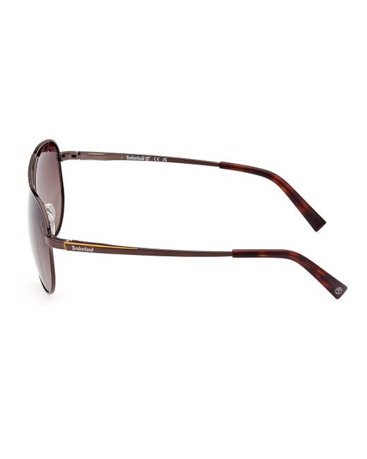 Timberland Brown Sunglasses