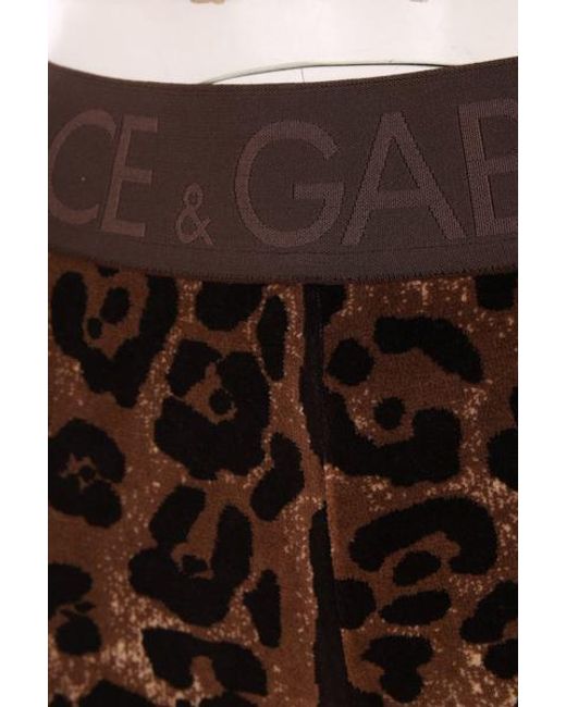 Dolce & Gabbana Brown Trousers