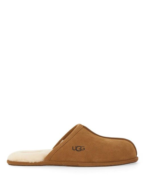 Ugg Brown Slippers "Scuff" for men