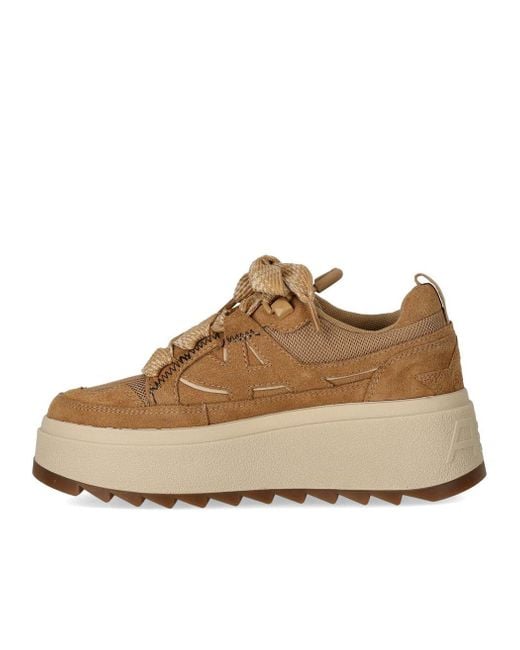 Ash Natural Movie Bis Camel Sneaker