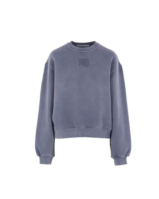 Alexander Wang Blue Sweaters