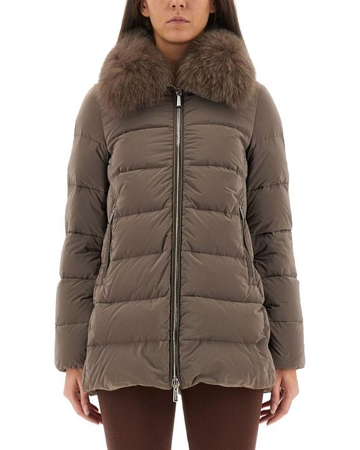 Moorer Brown Dorado" Padded Jacket