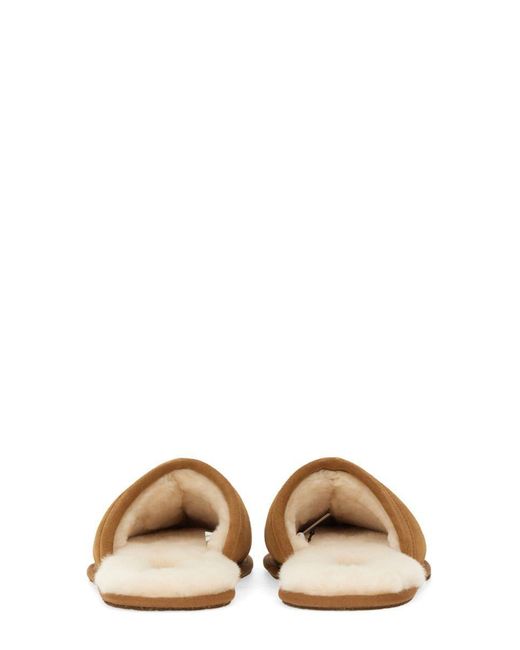 Ugg Brown Slippers "Scuff" for men