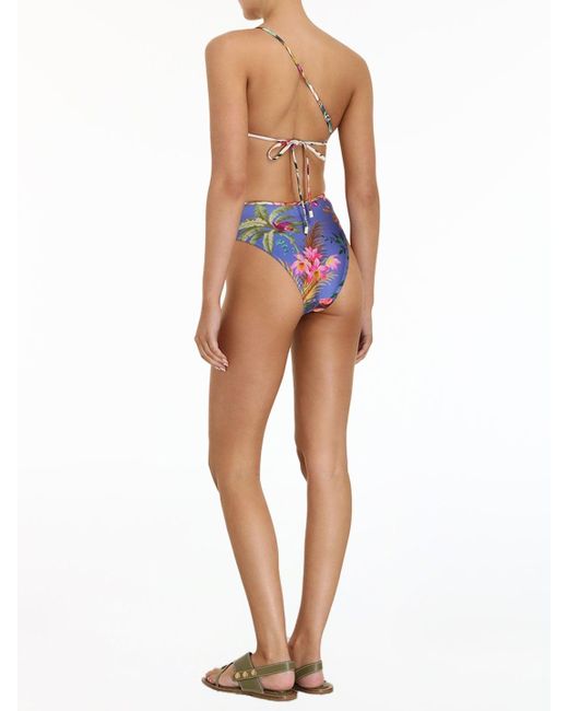 zimmermann swimsuit