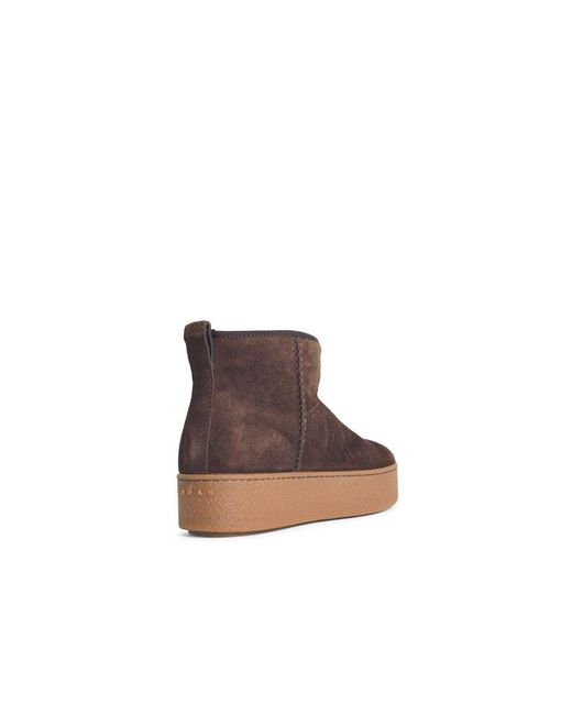 Hogan Brown Suede Ankle Boots