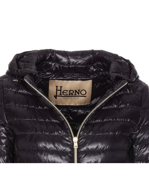 Herno Black Jackets