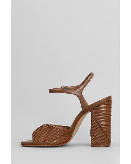 SCHUTZ SHOES Brown Lupita Sandals