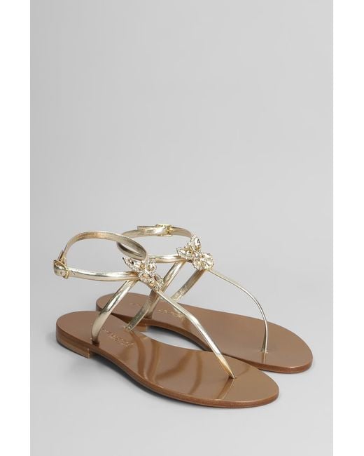 EDDICUOMO White Flats