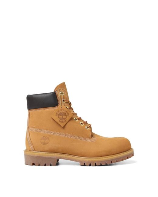 Timberland Brown Premium 6 Inch Lace Up Waterproof Boot for men