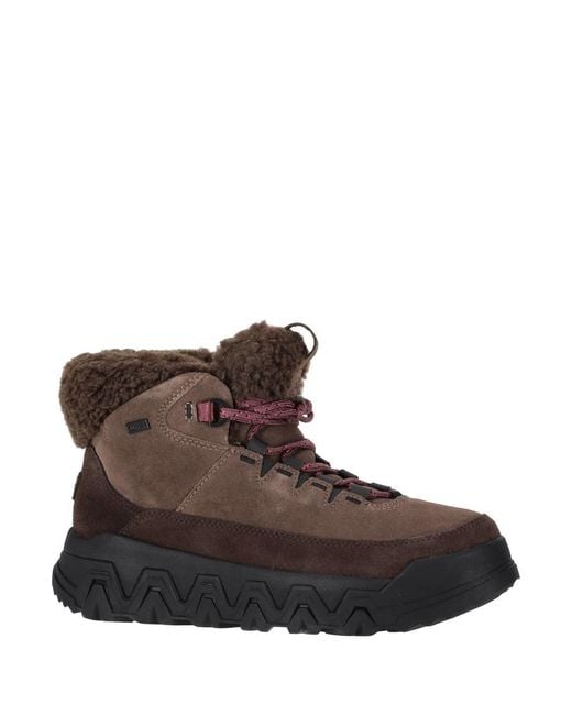 Ugg Brown W Terretrail Cozy Lace