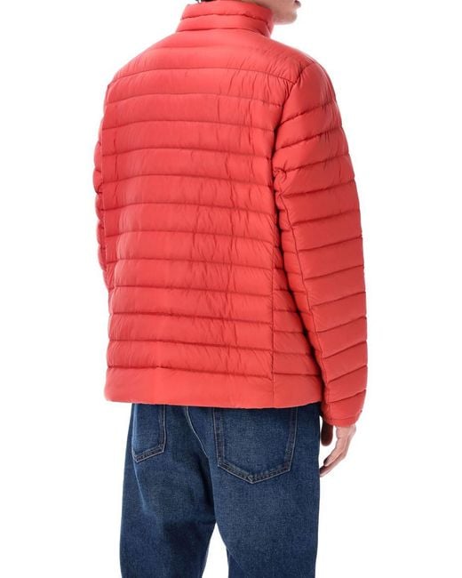 Patagonia Red Down Sweater Padded Jacket for men