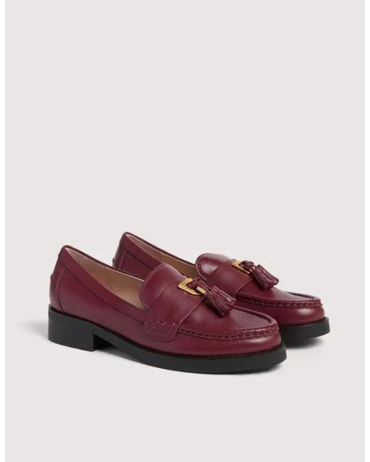 Coccinelle Purple Flat Shoes
