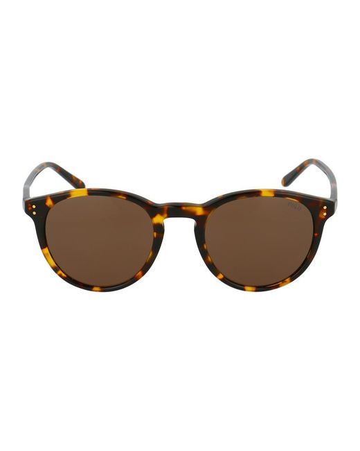 Polo Ralph Lauren Brown Sunglasses for men