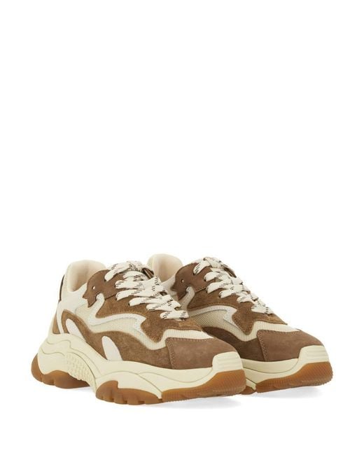 Ash Natural Sneaker "Addict"