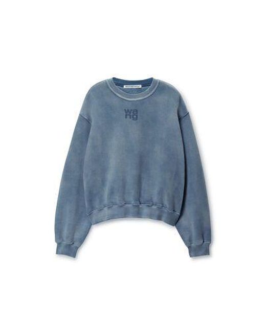 Alexander Wang Blue Sweaters