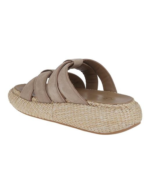 Ash Brown Sandals