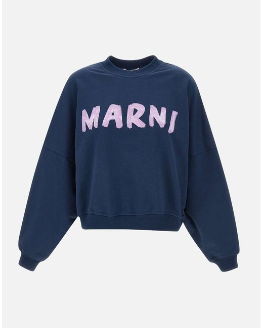 Marni Blue Sweaters