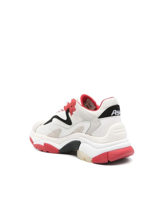 Ash White Sneaker Addict