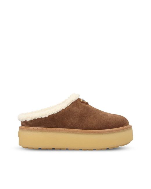 Prada Brown Sandals