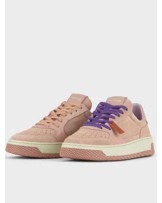 Pànchic Pink Low-top Suede And Leather Sneaker Shoes